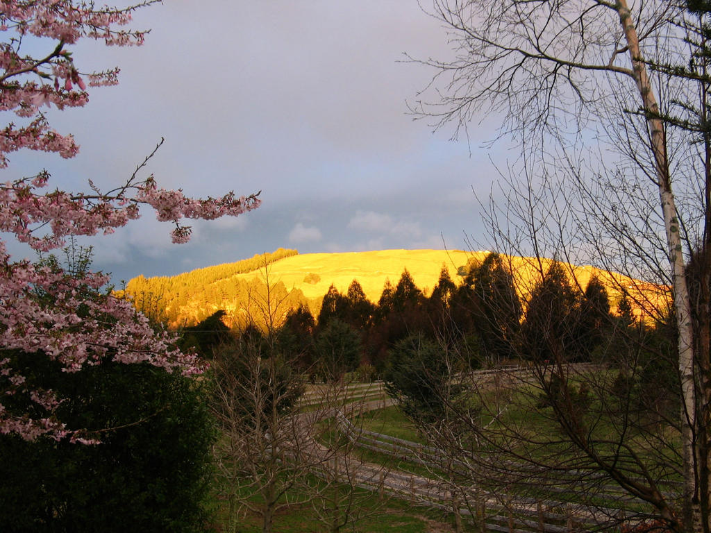 Whakaipo Lodge Taupo Eksteriør bilde
